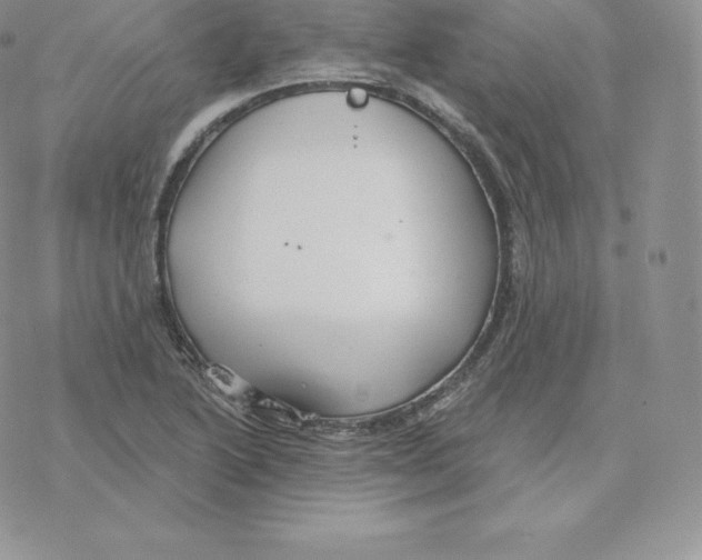 X0000077321222200611171734