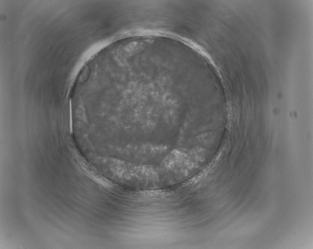 X0000077321223200611171734