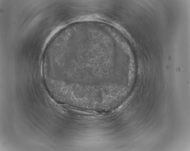 X0000077321224200611171734