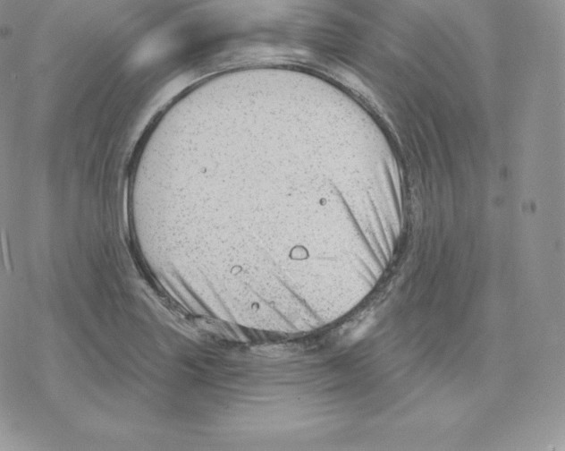 X0000077321227200611171734