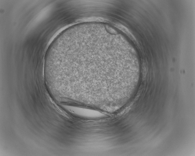 X0000077321228200611171734