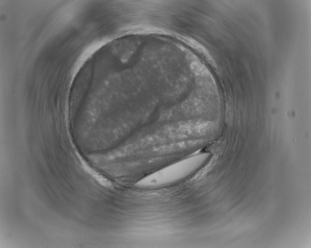 X0000077321231200611171734