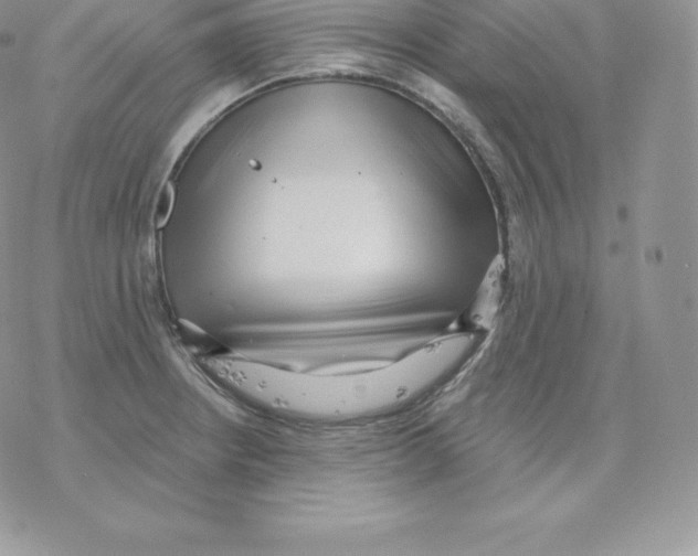 X0000077321234200611171734