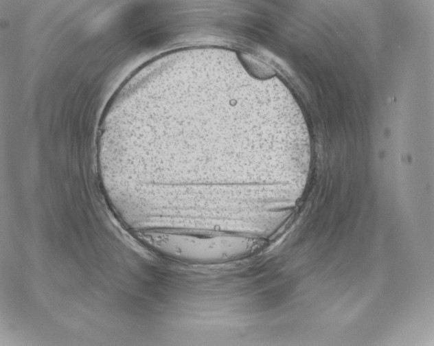 X0000077321236200611171734