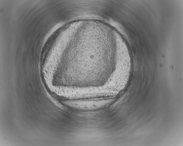 X0000077321237200611171734