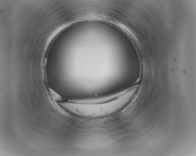 X0000077321238200611171734