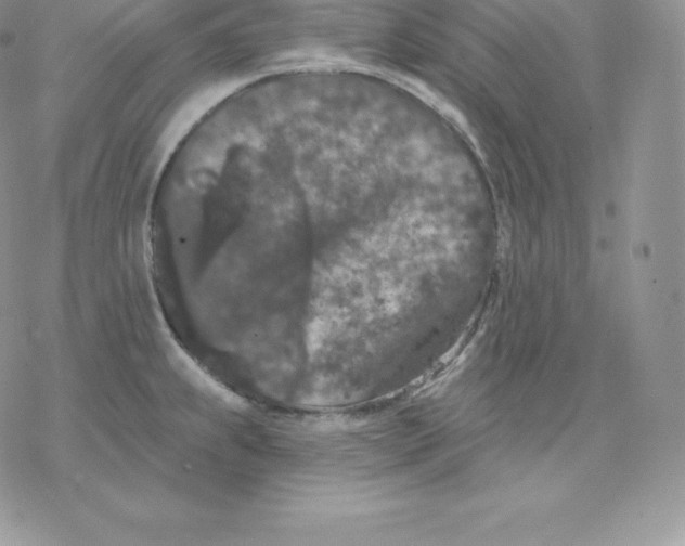 X0000077321239200611171734