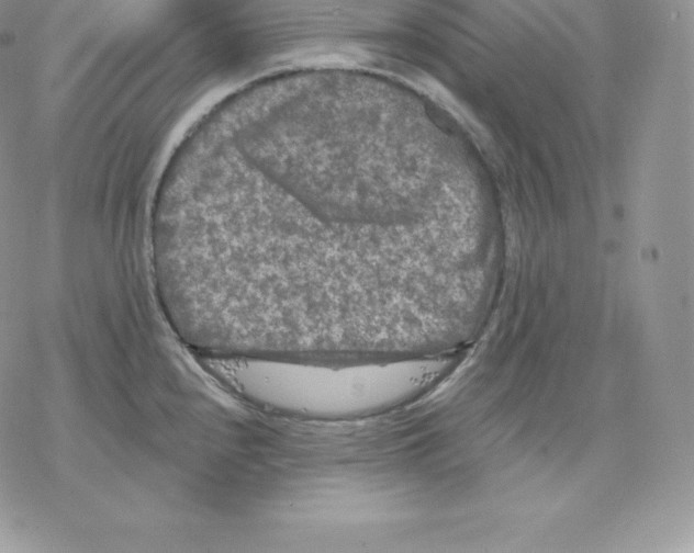 X0000077321240200611171734