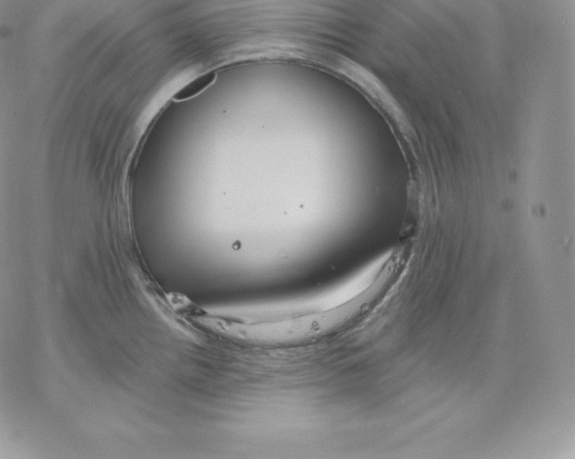 X0000077321242200611171734