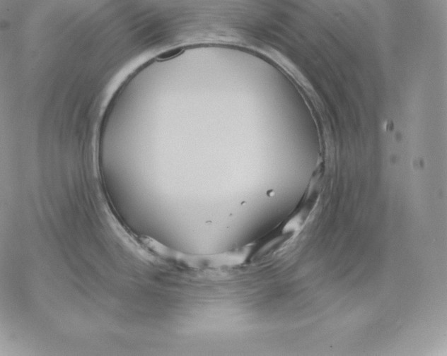 X0000077321246200611171734