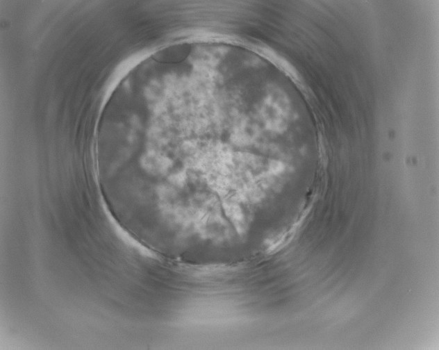 X0000077321247200611171734