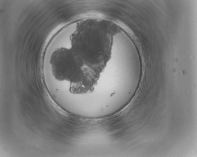 X0000077321248200611171734