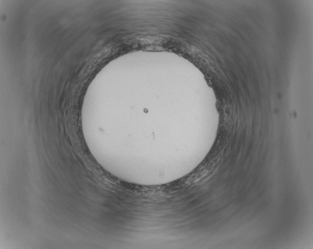 X0000077321249200611171734