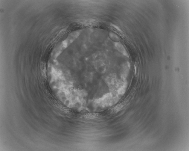 X0000077321251200611171734