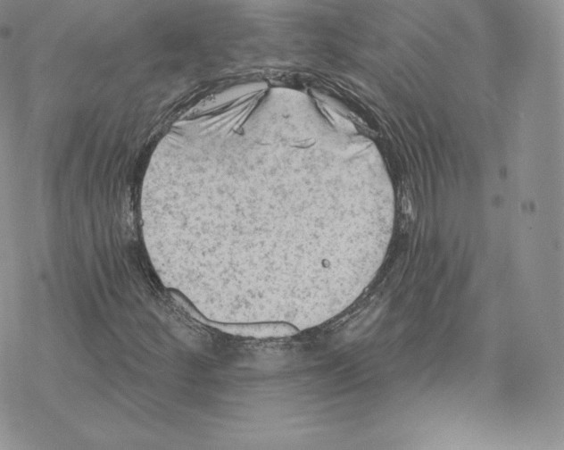 X0000077321252200611171734