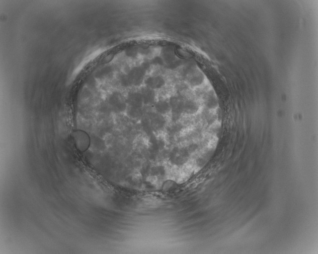 X0000077321255200611171734