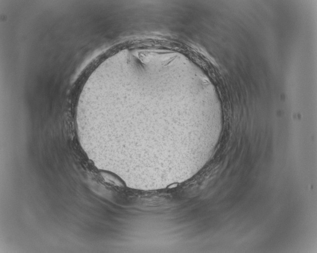 X0000077321256200611171734