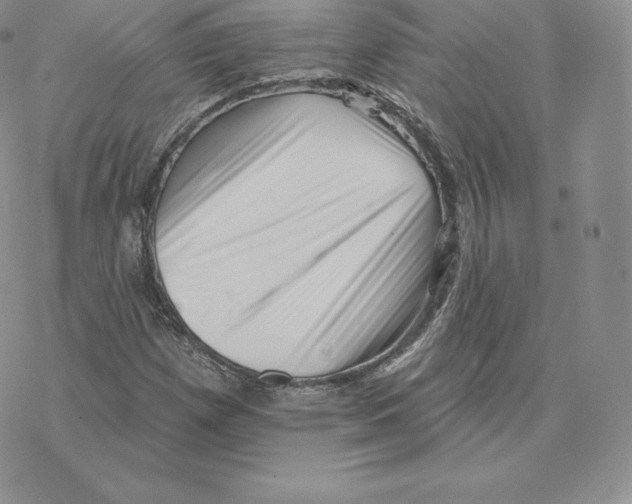 X0000077321257200611171734