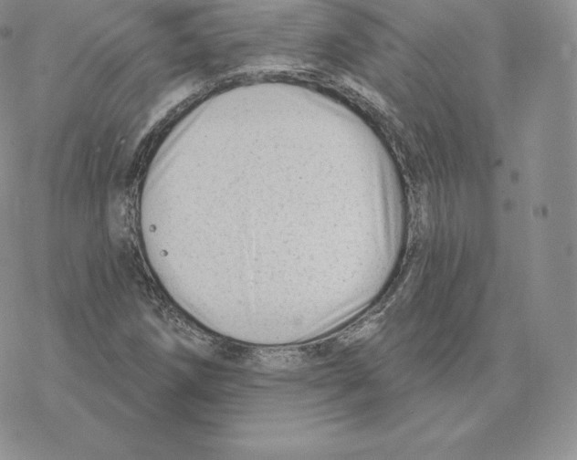 X0000077321258200611171733