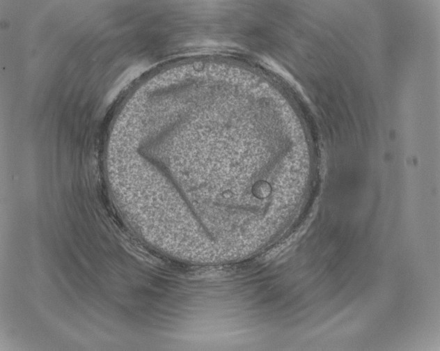 X0000077321259200611171733