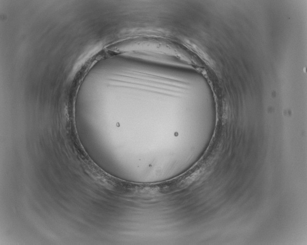 X0000077321261200611171733