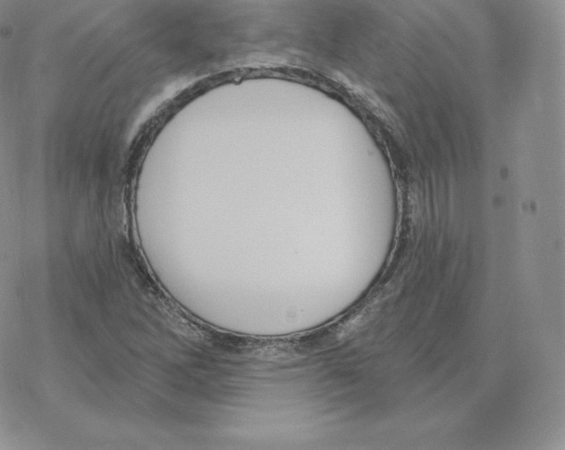 X0000077321262200611171733