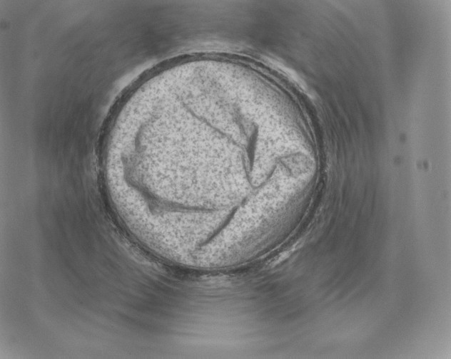 X0000077321264200611171733