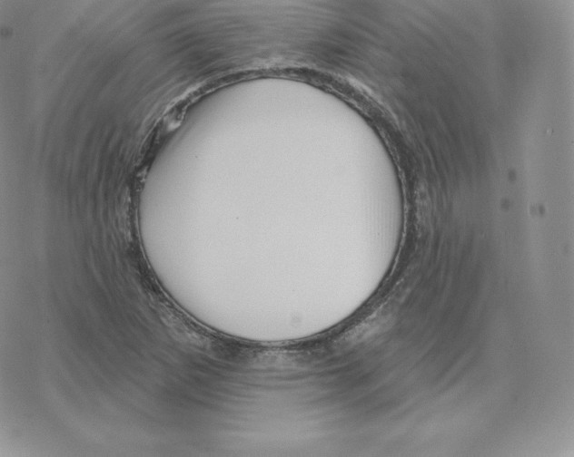 X0000077321265200611171733