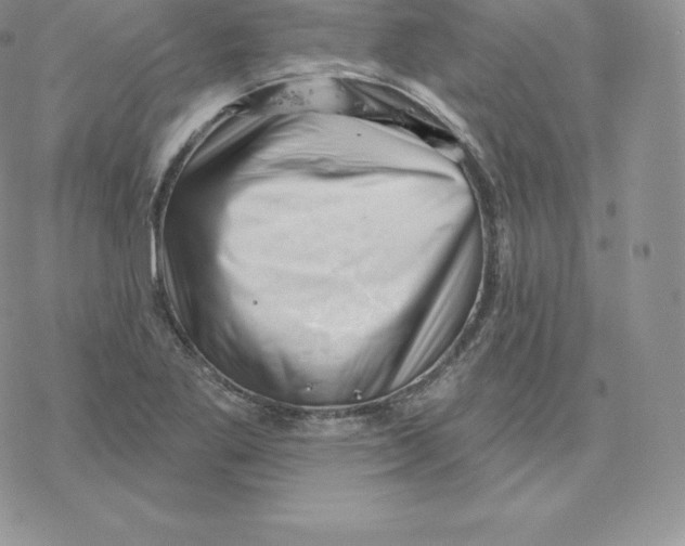 X0000077321269200611171733