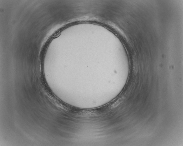 X0000077321270200611171733