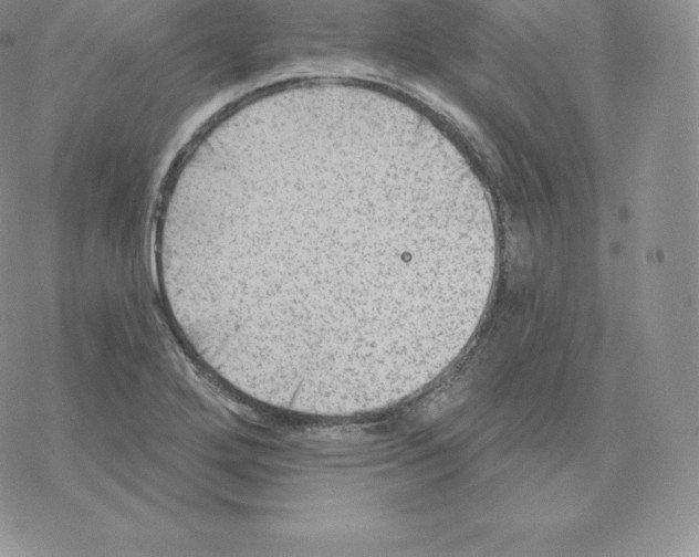 X0000077321272200611171733