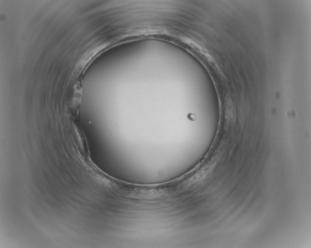 X0000077321273200611171733