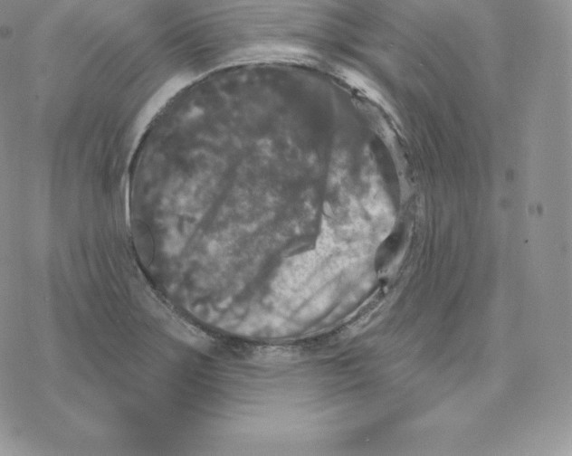 X0000077321275200611171733