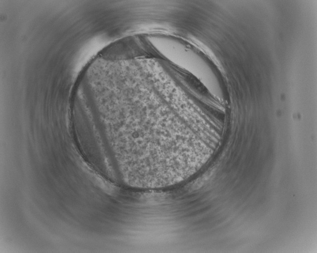 X0000077321277200611171733