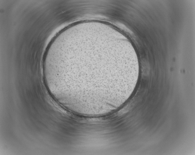 X0000077321280200611171733