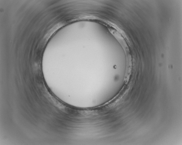 X0000077321281200611171733