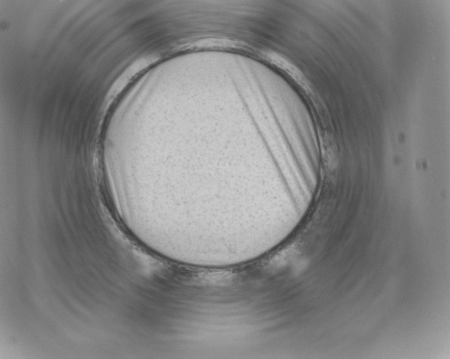 X0000077321282200611171733