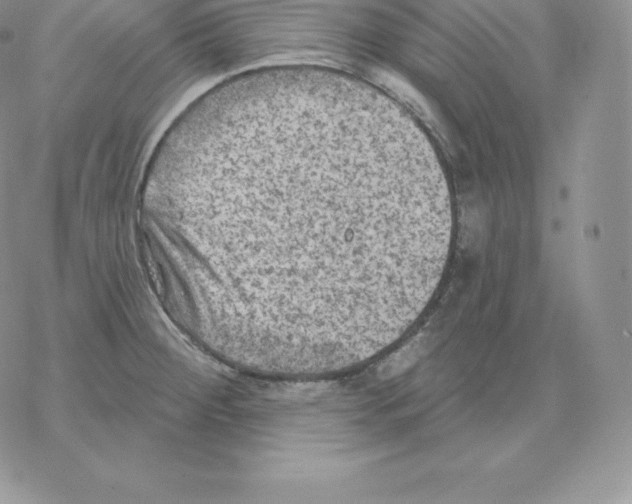 X0000077321284200611171733