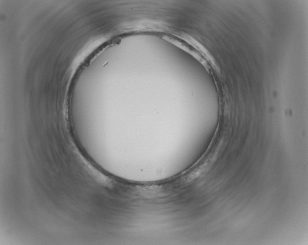 X0000077321285200611171733