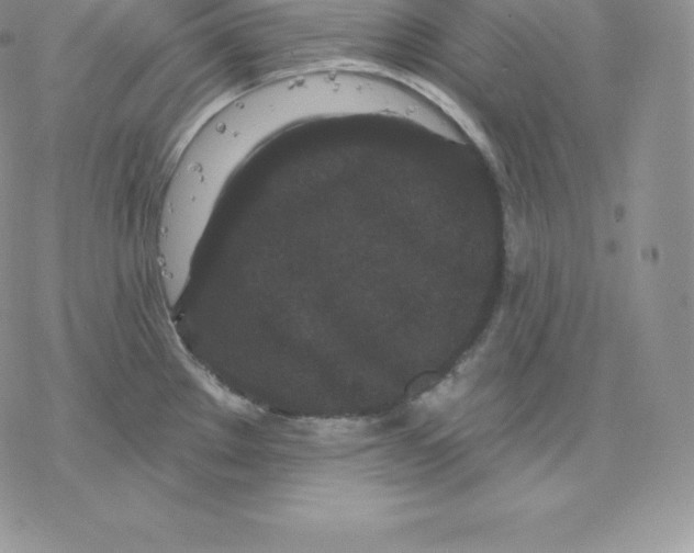 X0000077321289200611171733