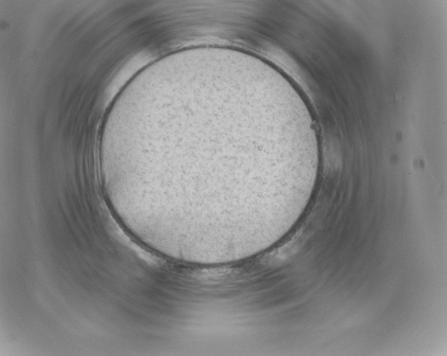 X0000077321290200611171733