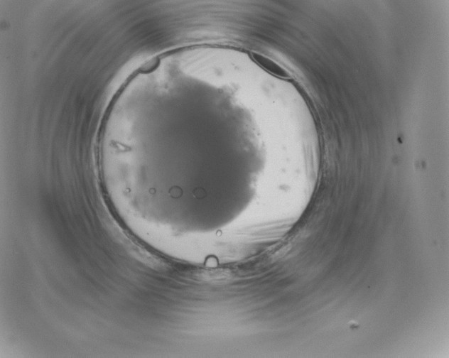 X0000077321291200611171733