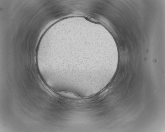 X0000077321292200611171733