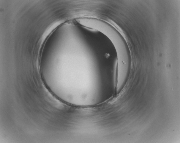 X0000077321293200611171733