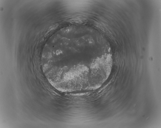 X0000077321297200611171732