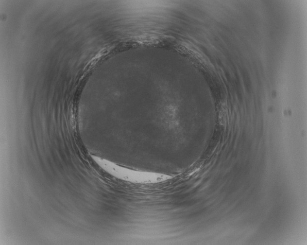 X0000077321298200611171732