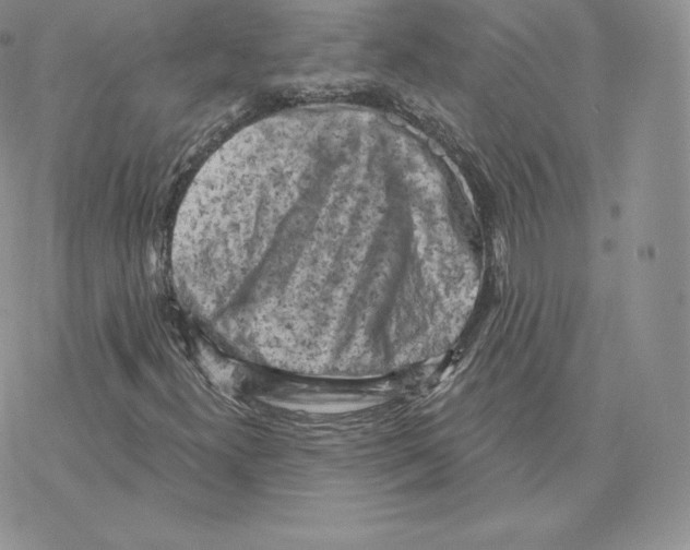 X0000077321300200611171732