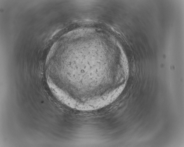 X0000077321301200611171732