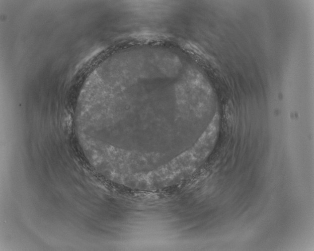 X0000077321302200611171732