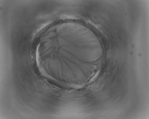 X0000077321303200611171732